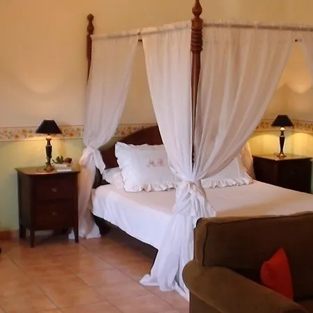 Daire Anthias Garden *