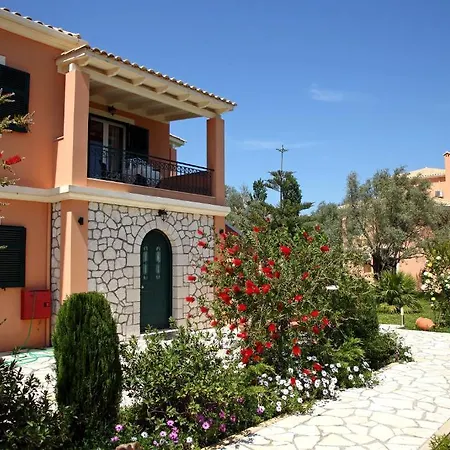 Anthias Garden Frínion